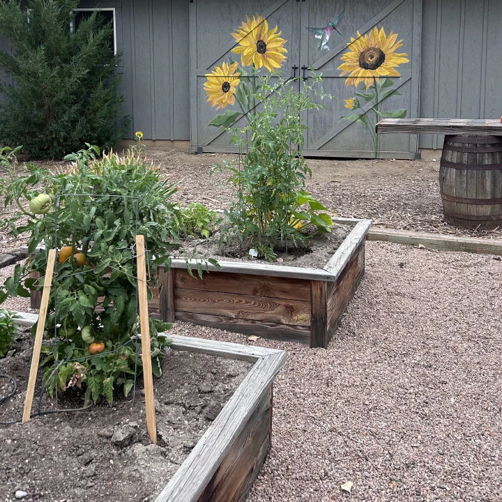 Gallery residential garden 01