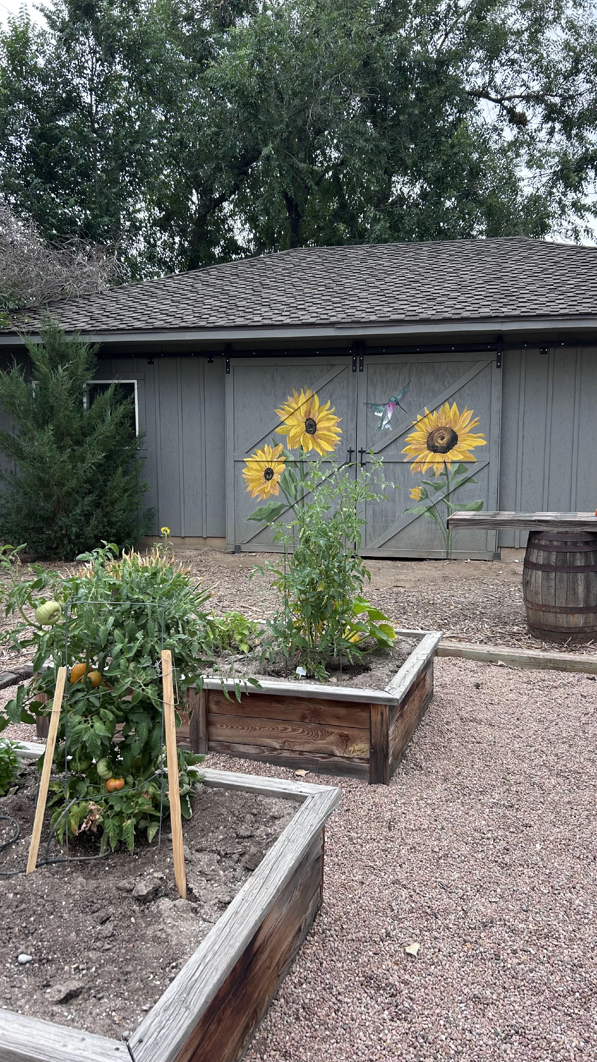 Gallery residential garden 01