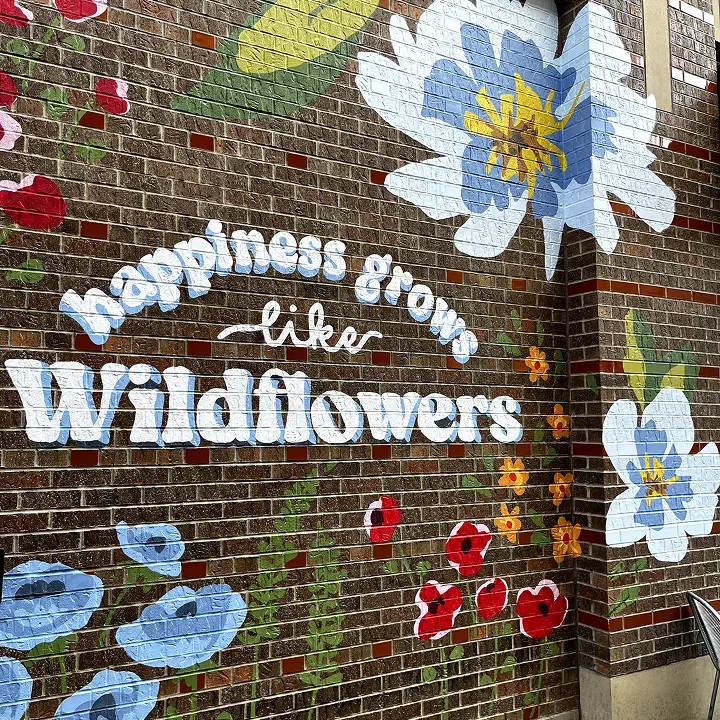 Mural for Belmar Shopping Center
